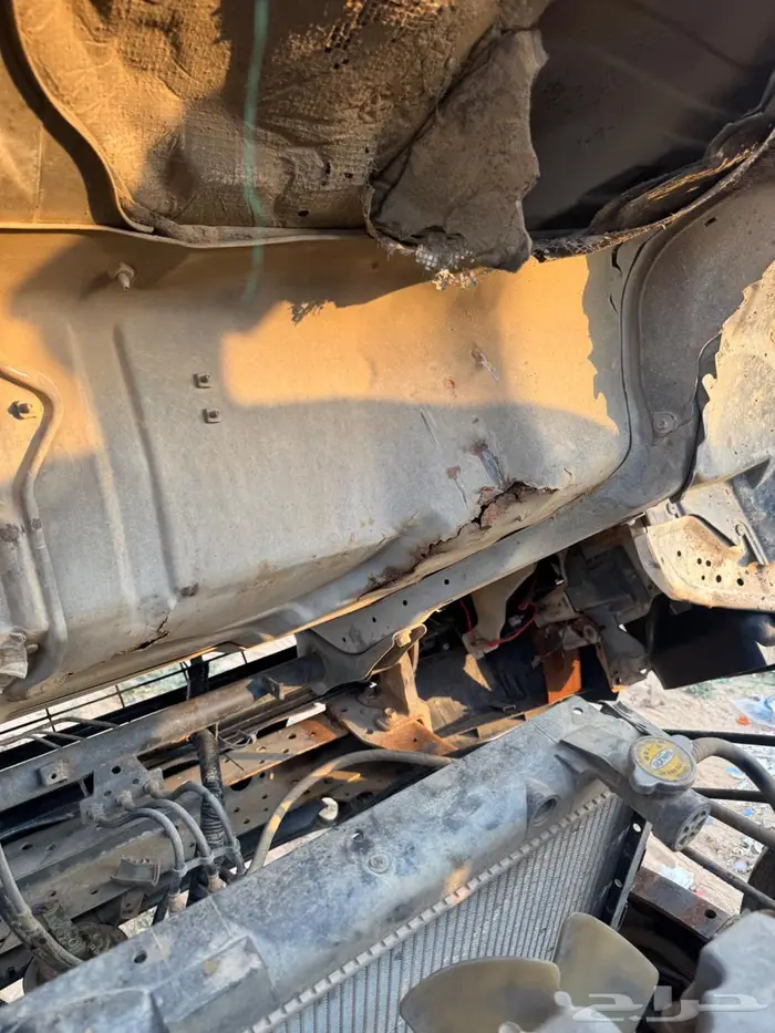 دينة وايت ايسوزو 2000 9