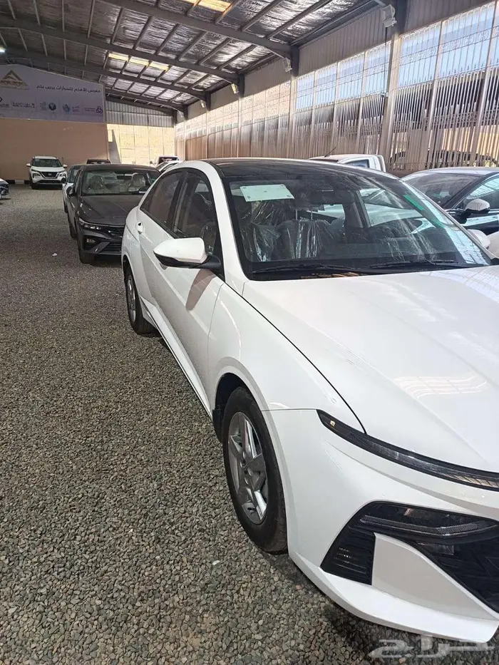 اكسنت فليست 2026 3