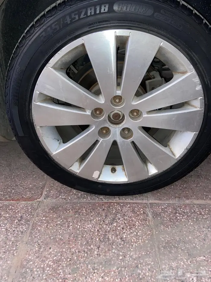 جنوط كابرس اس اس ss للبيع او البدل 1