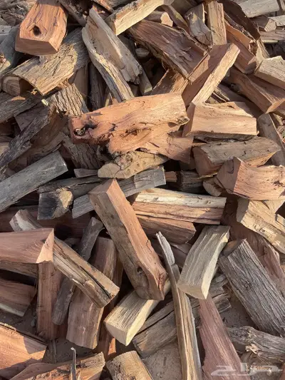 حطب اثل و طلح امريكي index