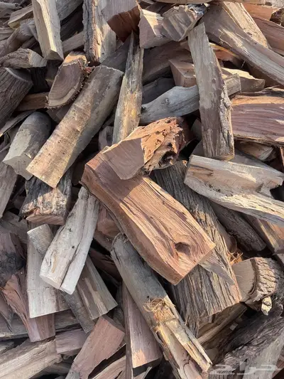 حطب اثل و طلح امريكي index