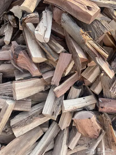 حطب اثل و طلح امريكي index