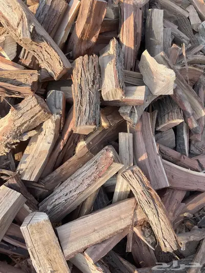 حطب اثل و طلح امريكي index