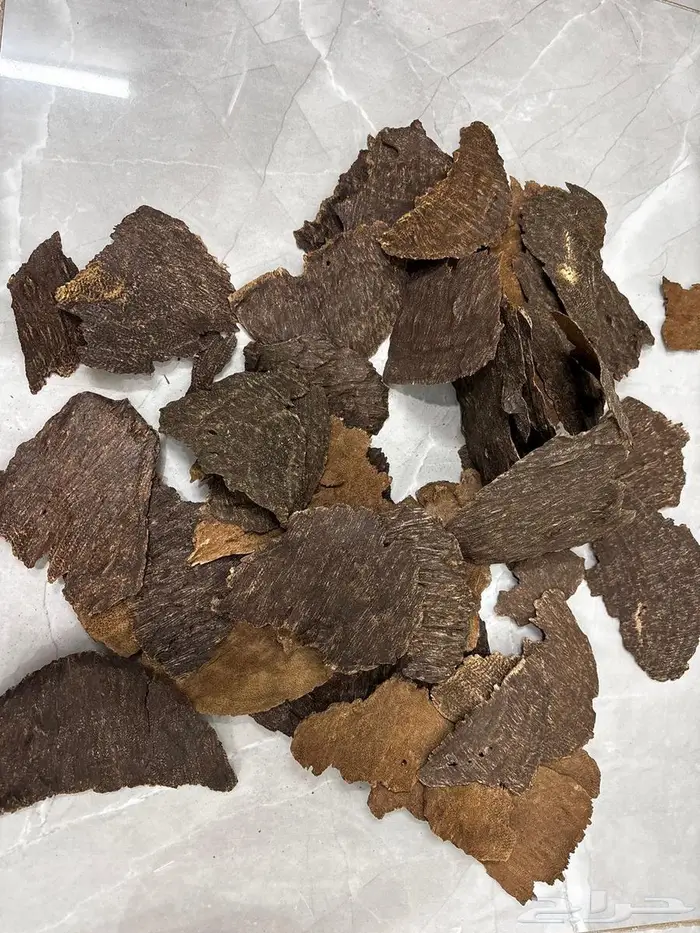 عود تشار او جار هندي 4