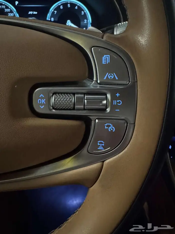 جينيسيس GV80 رويال 10