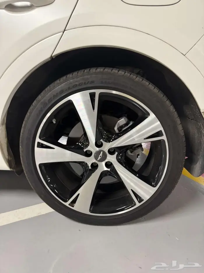 جينيسيس GV80 رويال 14