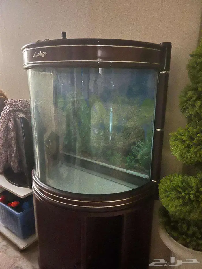 أحواض سمك للبيع 0