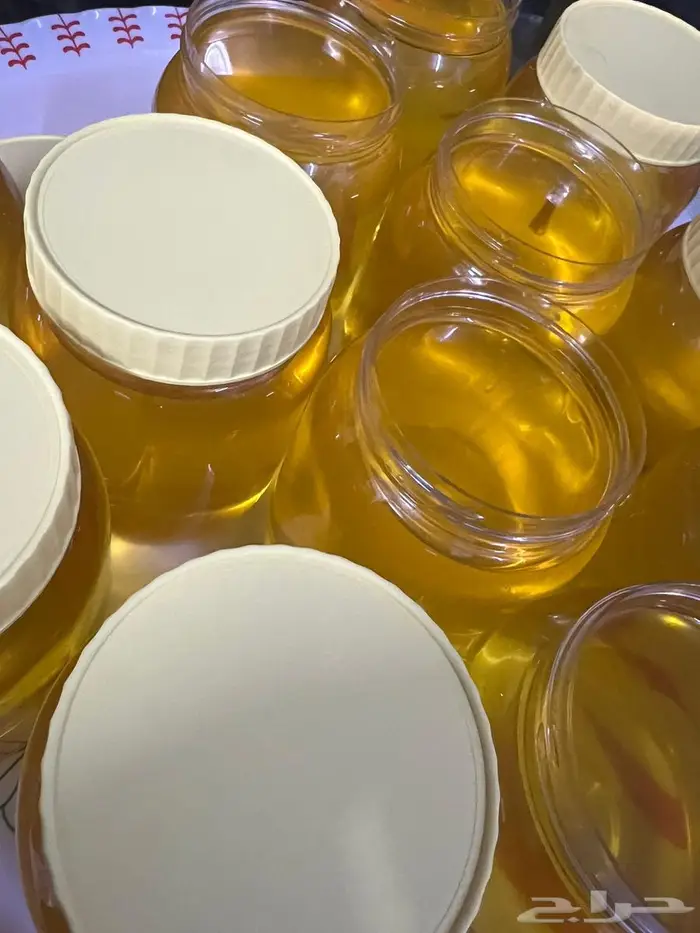 سمن غنم مضمون للبيع 1