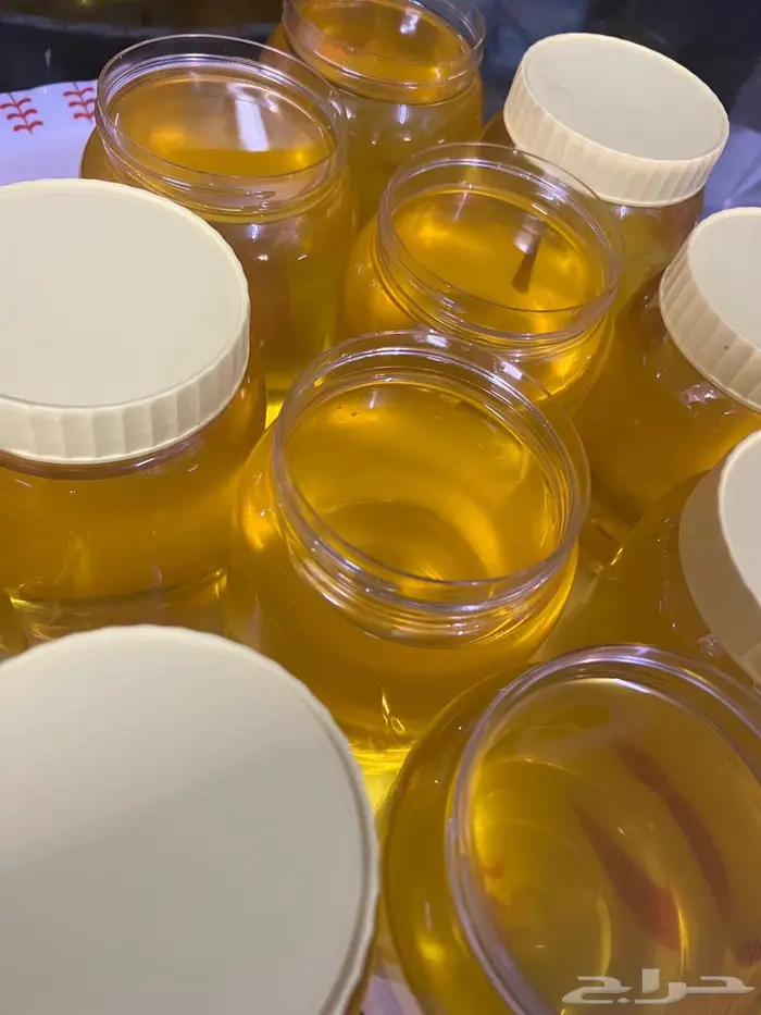 سمن غنم مضمون للبيع 4