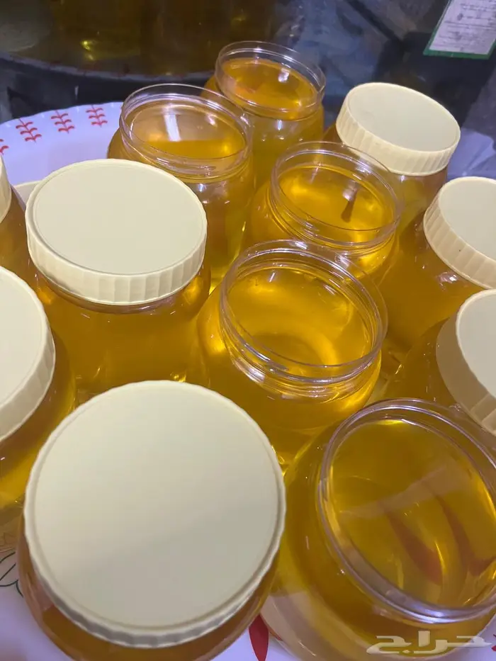 سمن غنم مضمون للبيع 5