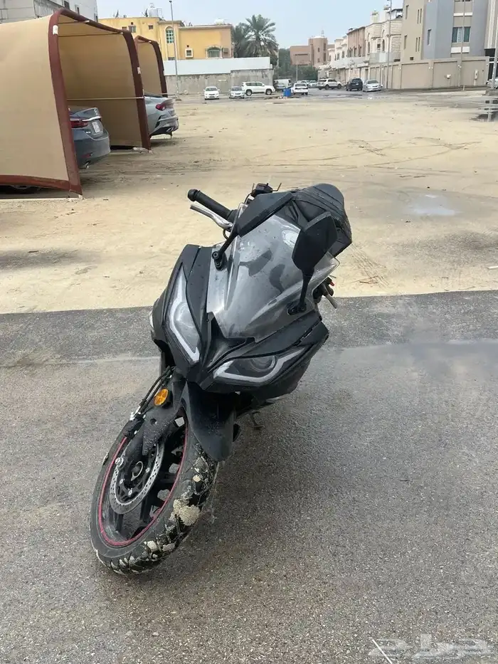 دباب ريس صيني (زونق شن) 1