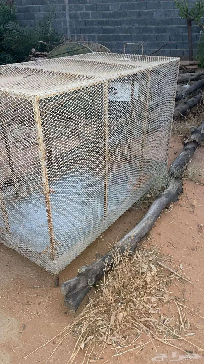 للبيع شبك طيور او دجاج 3
