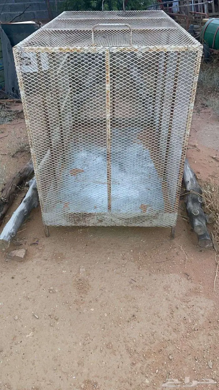 للبيع شبك طيور او دجاج 4