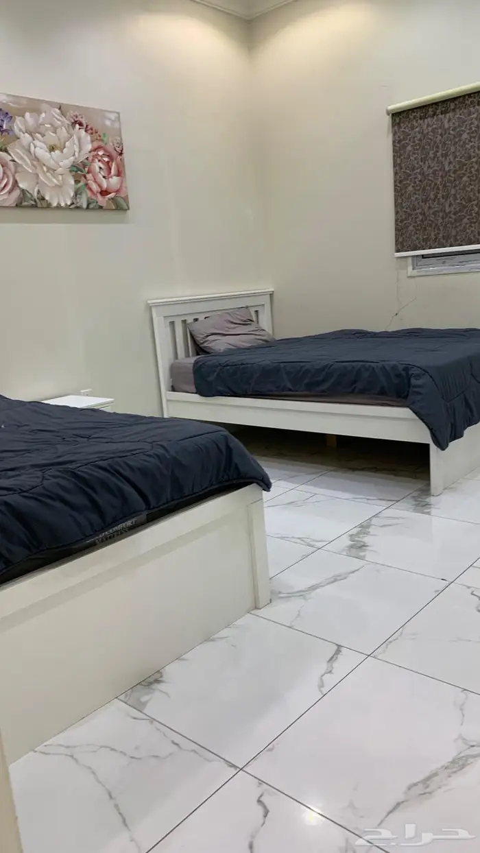 عدد 2 شاليه للاجار 6