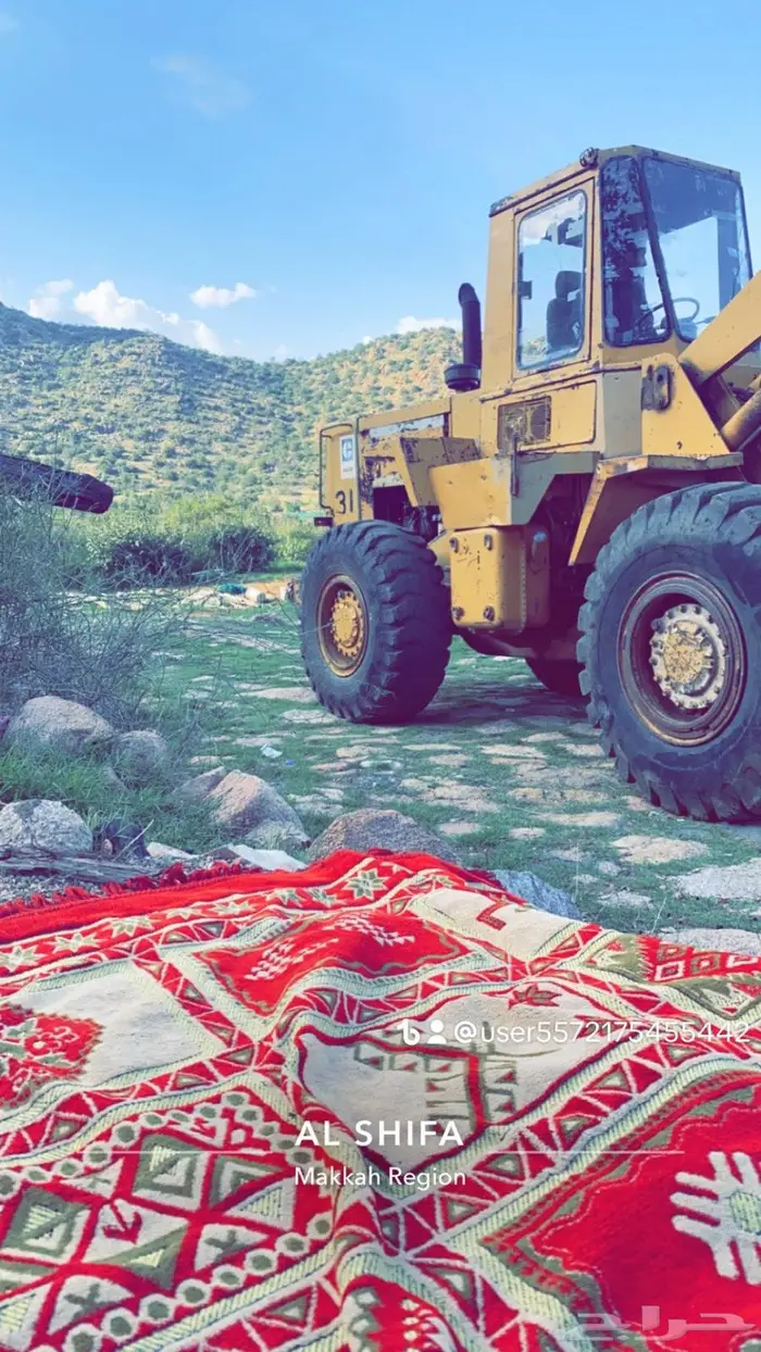 شيول وبكلين للايجار. 7