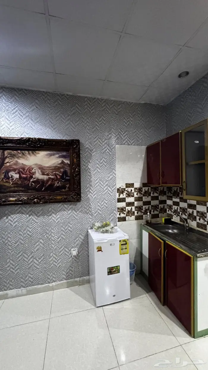 للايجار شقه استوديو مفروش بالنهضه قريب الردسي مول 2