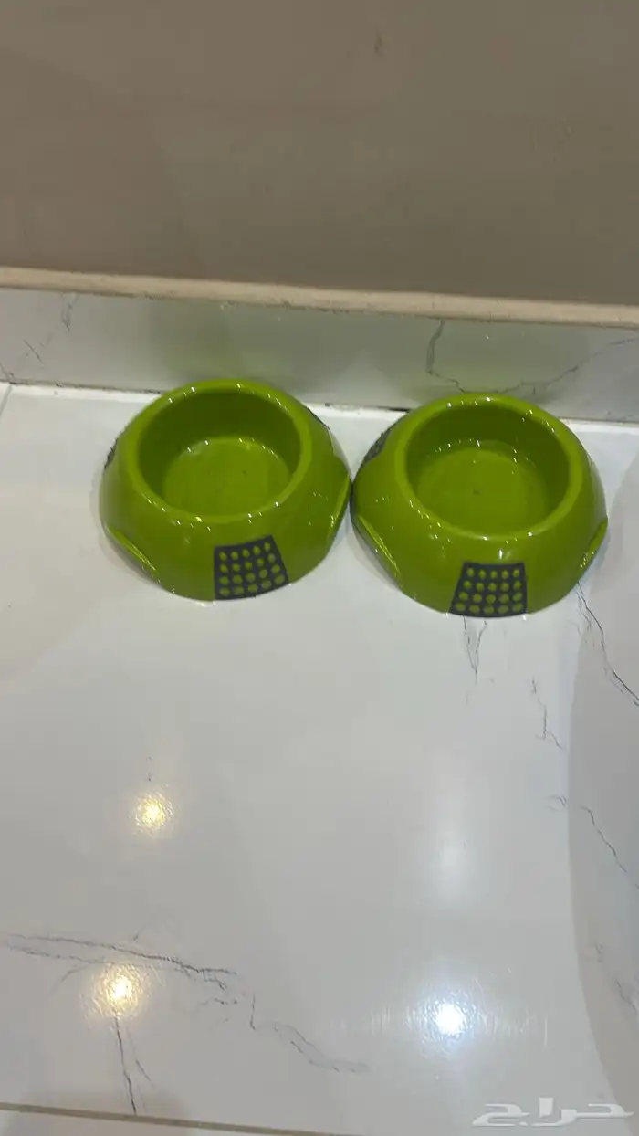 مستلزمات وكماليات القطط كاملة بسعر رمزي 6