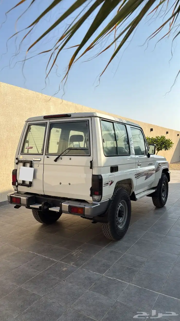 جيب ربع 2022 3