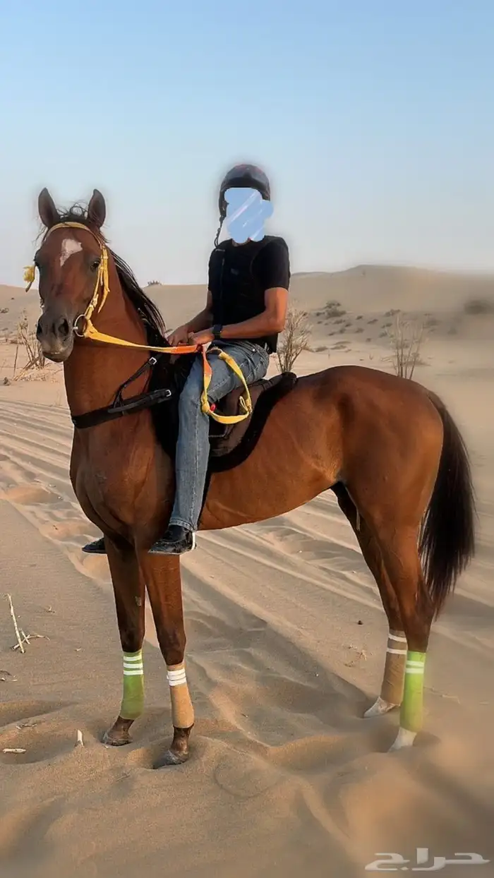 مهر شعبي للبيع 1