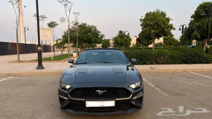 جده مجمع مشارف 0