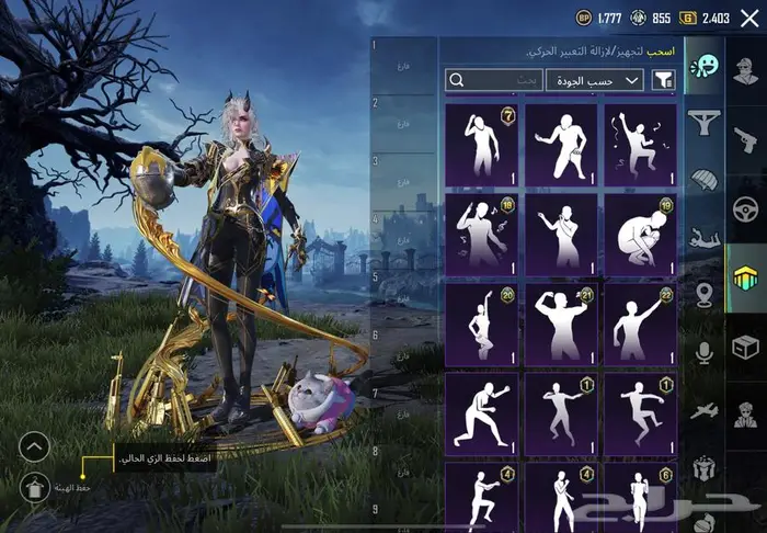 حساب ببجي للبيع مستعجل 88