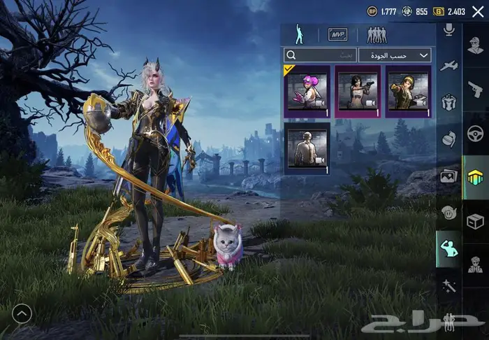 حساب ببجي للبيع مستعجل 91