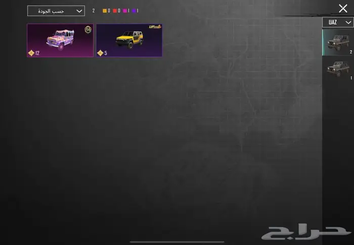 حساب ببجي للبيع مستعجل 79