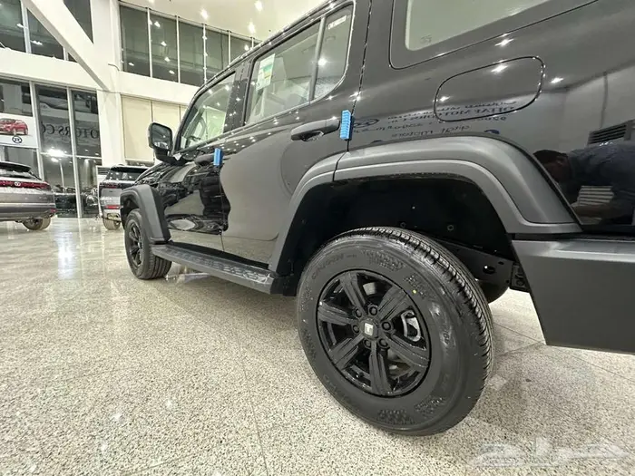 تانك 300 موديل 2025 متاح موديل 2026 _عرض خاص 16