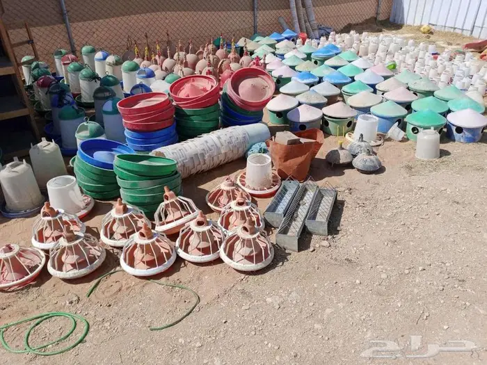 للبيع مستلزمات مشروع حمام و دجاج 1