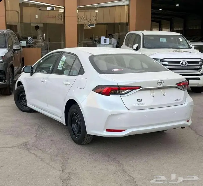 بريدة حي الجزيرة المعارض 1