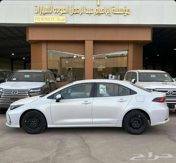 بريدة حي الجزيرة المعارض 6