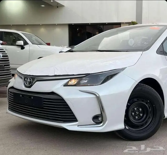 بريدة حي الجزيرة المعارض 2