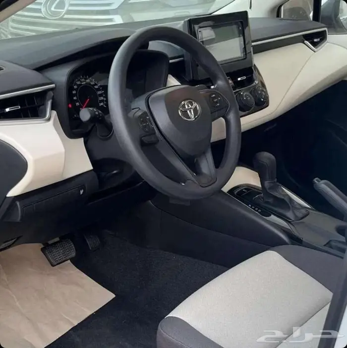 بريدة حي الجزيرة المعارض 5