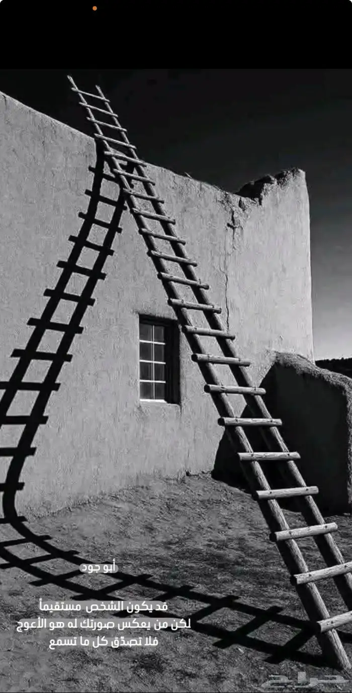 مطلوب شقة اجار شهري 0