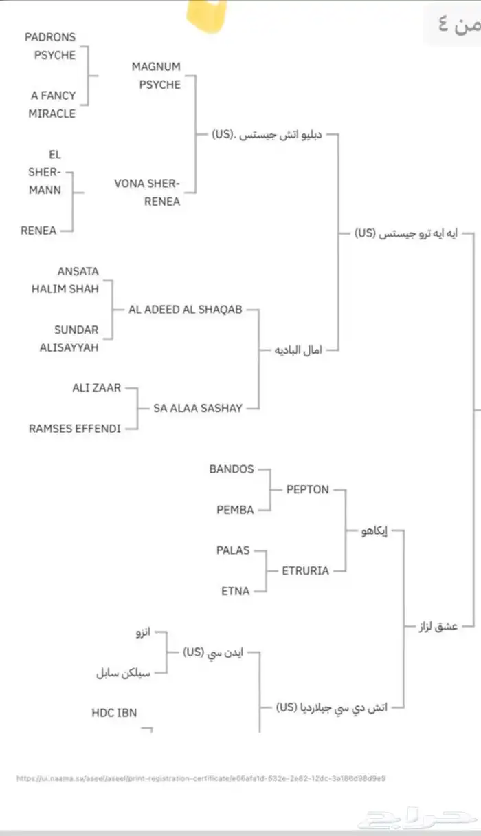 حصان واهو فحل مربط 5