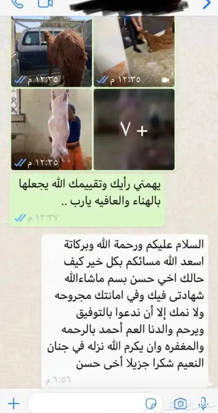 ملحمة بيت اللحم الطازج اللذيذ 12
