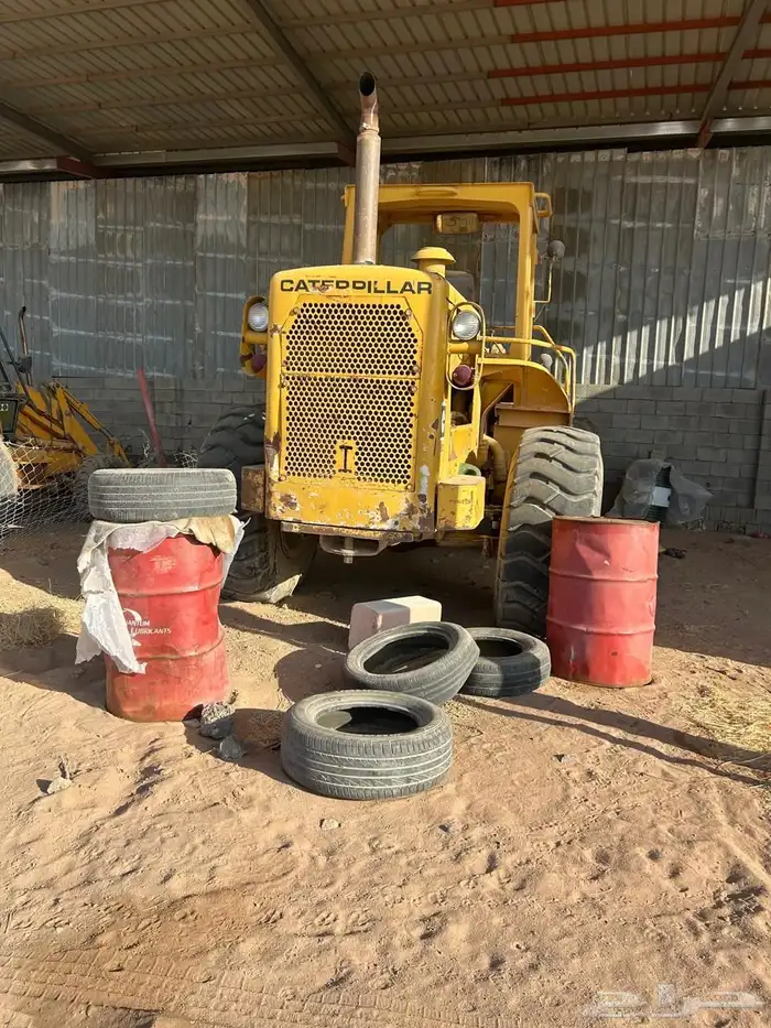 شيول للبيع 0