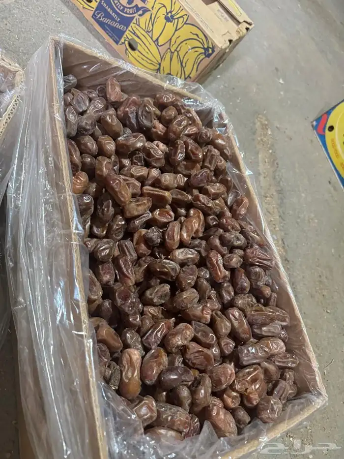 للبيع اعلاف تمور 3000 كيس 27
