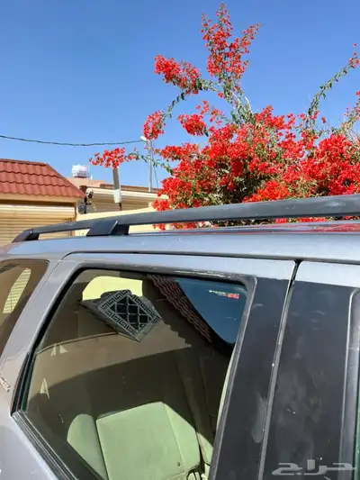 سكويا 2015 وكاله index