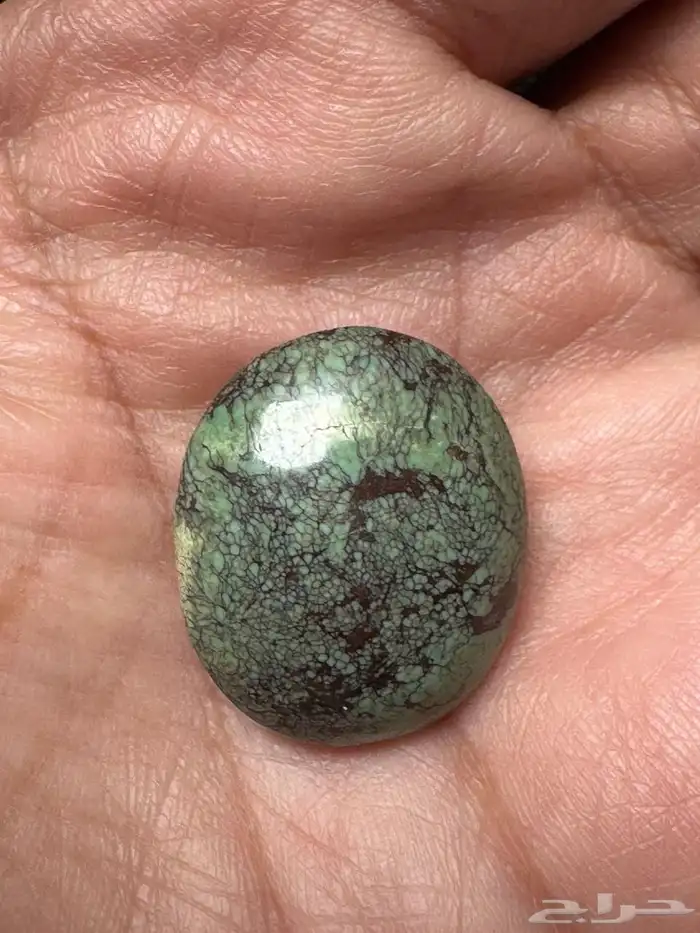 فيروز نيشابوري حسيني مصور من الخام الفاخر 2