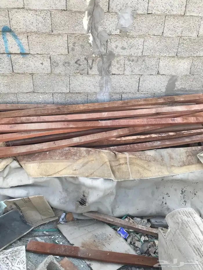 عيدان رزايز طيبه بالحيل 1