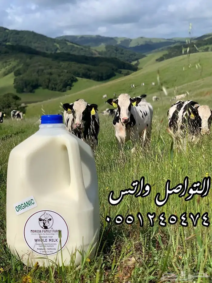 ألبان ومشتقاتها 0