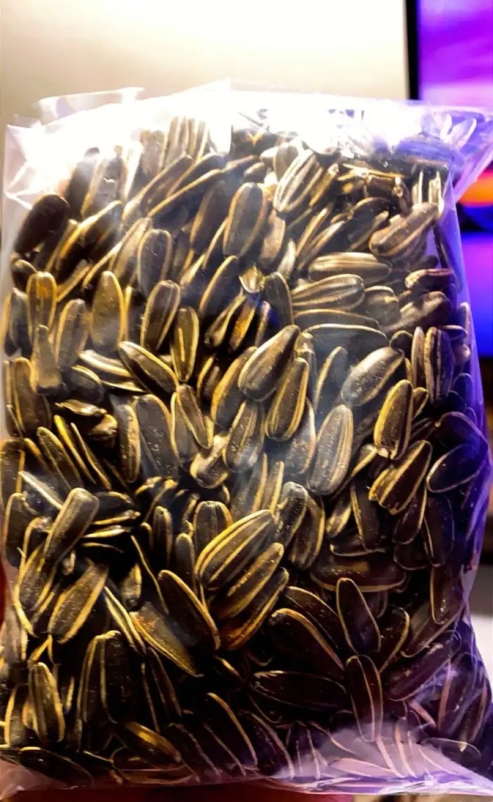 أكل طيور شركة وايت مولين الهولنديه تاريخ جديد للببغاوات 3