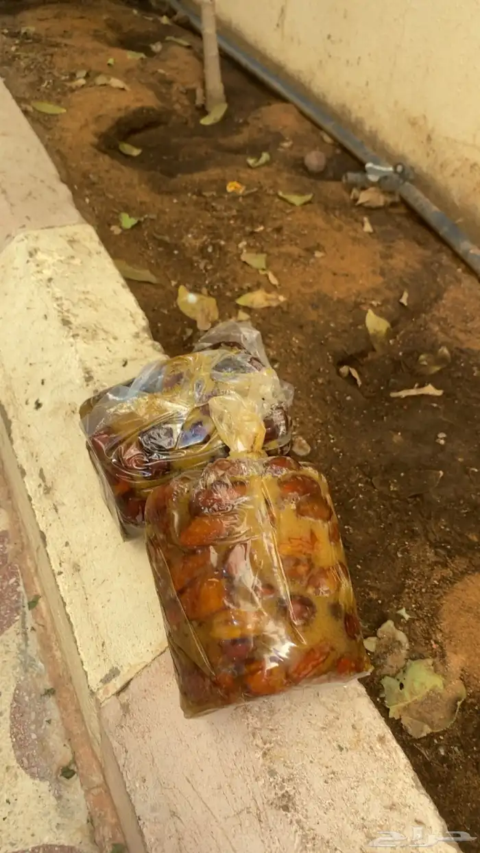 تمر مجرش تجريش بيت خلاص حلوه وهشيشي 1