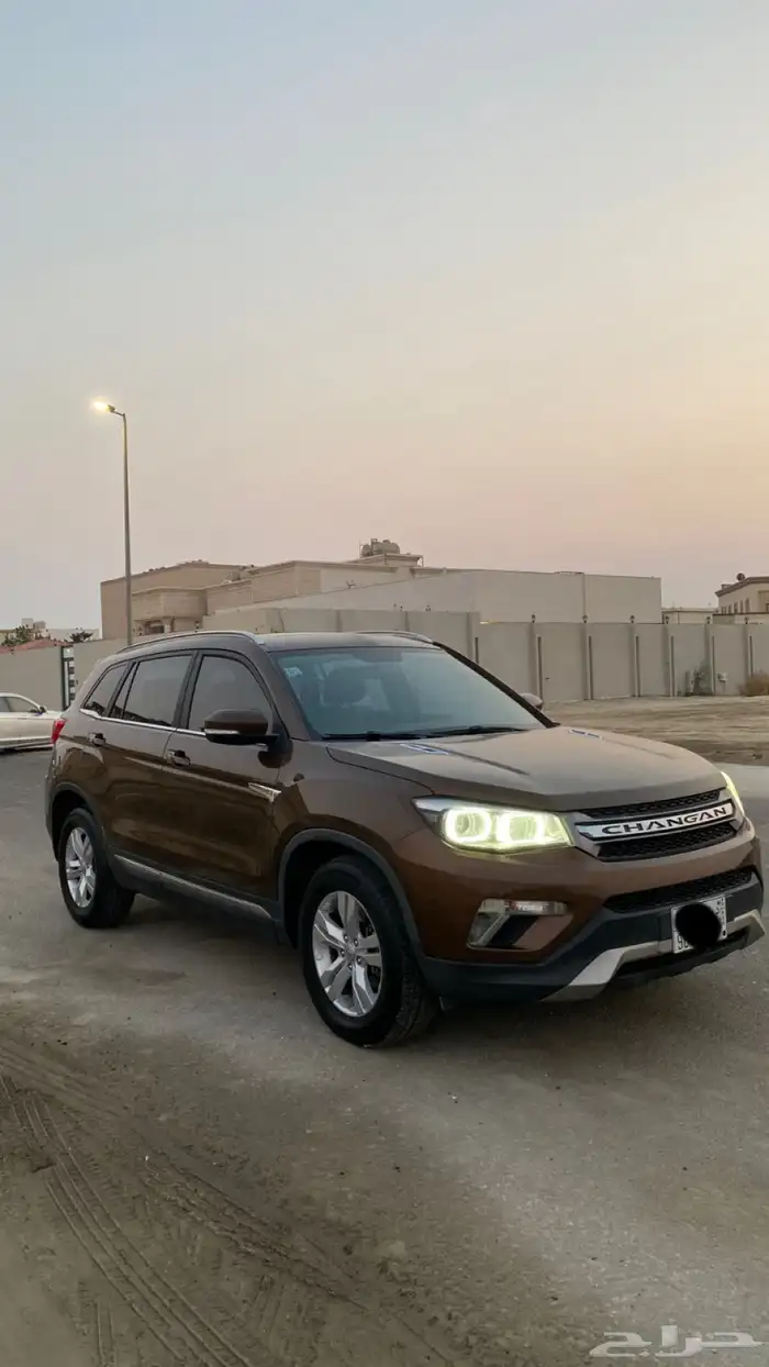 اللبيع شانجان 2019 1