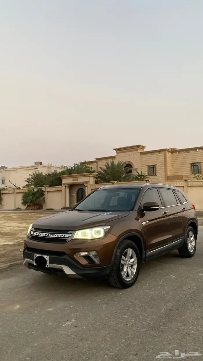 اللبيع شانجان 2019 0