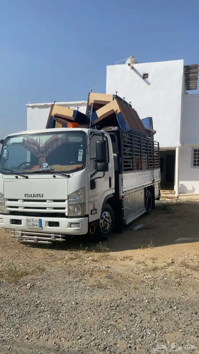 دينه الرياض بيشه الجنوب 0