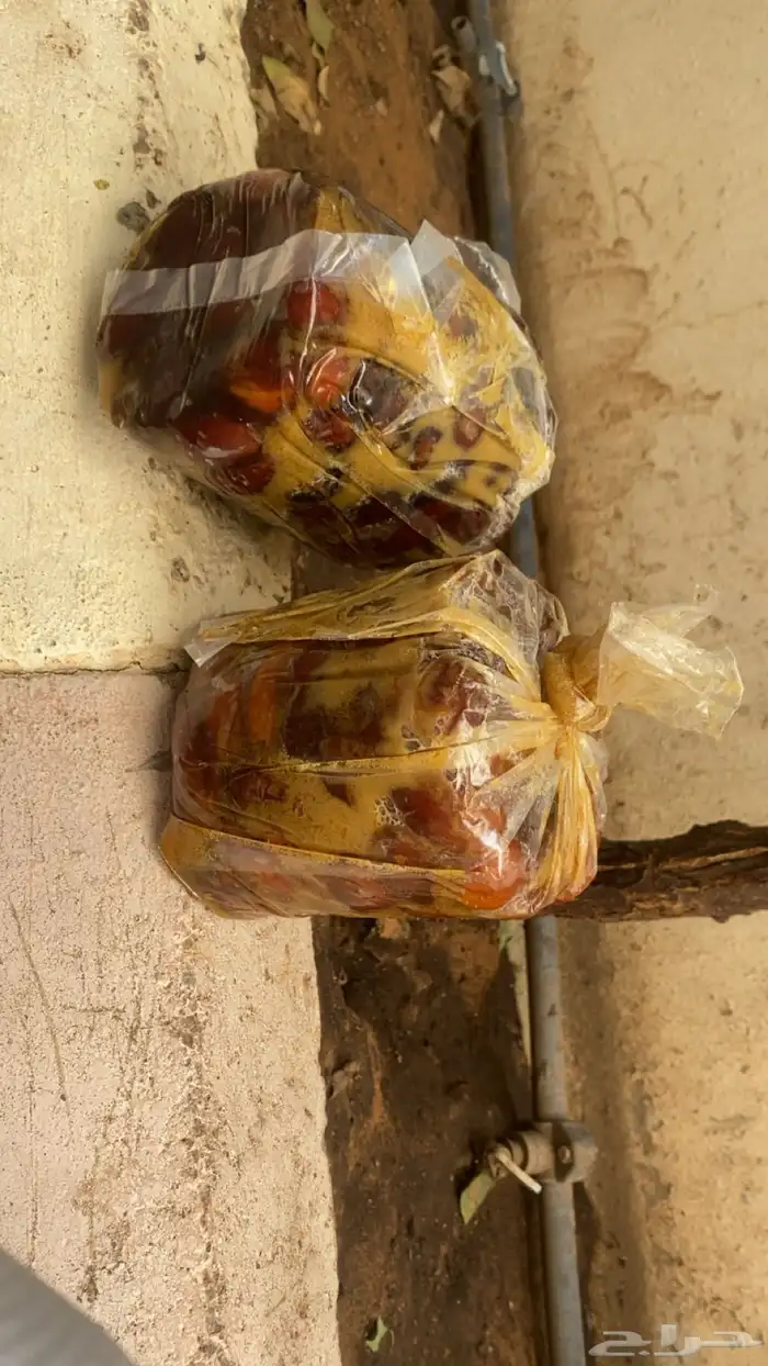 تمر مجرش تجريش بيت خلاص حلوه وهشيشي 2