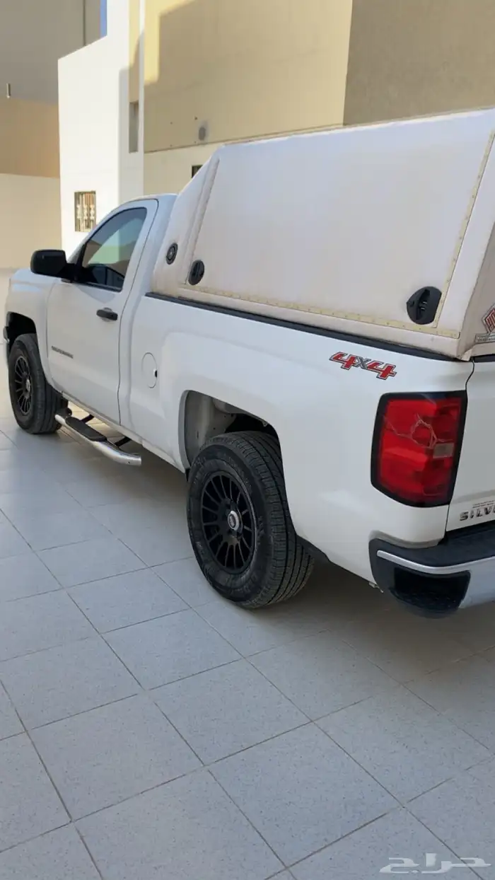 سلفر ادو 2015 3