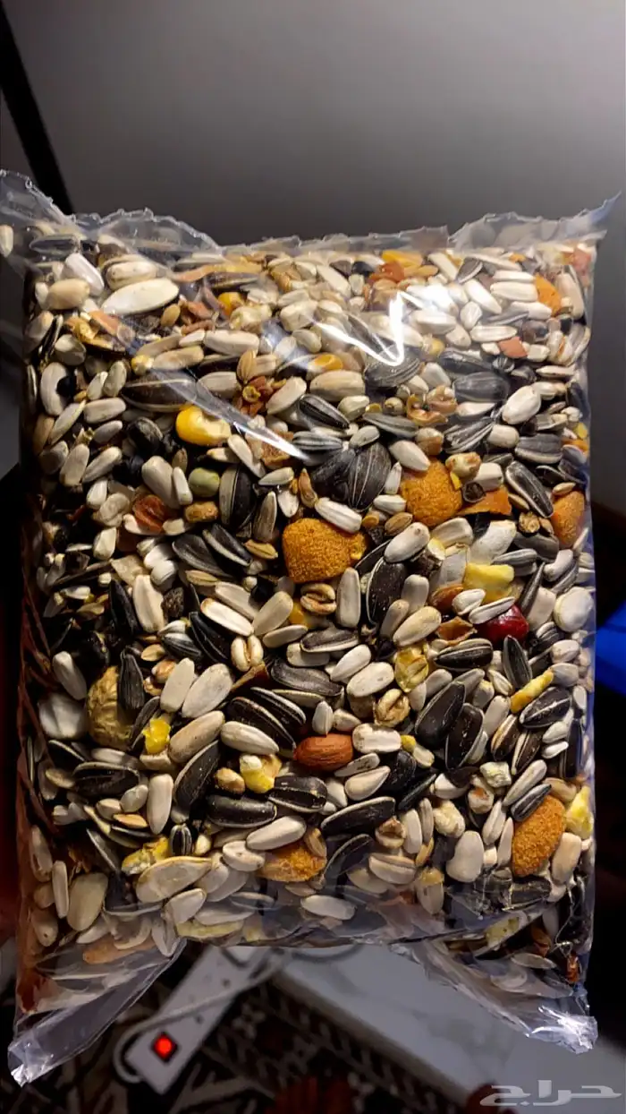 أكل طيور شركة وايت مولين الهولنديه تاريخ جديد للببغاوات 2